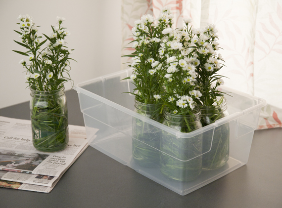 1644-Centerpieces