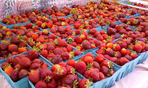 FarmersMarket