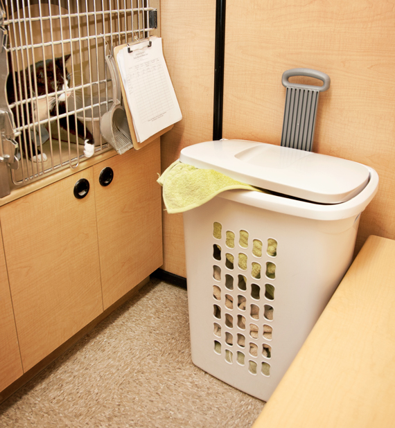 1222-Cat-Shelter