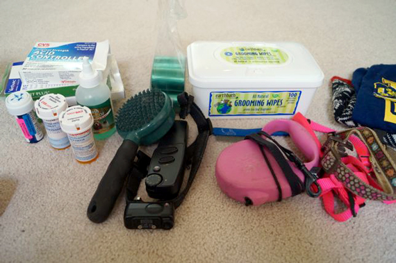 Pet-Sorting