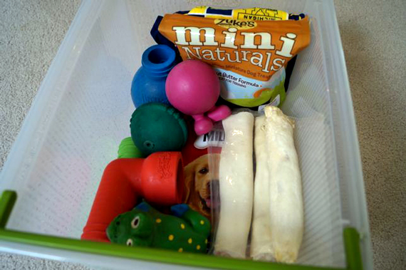 Harper's-Treats-1