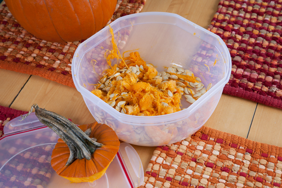 0395-PumpkinGuts