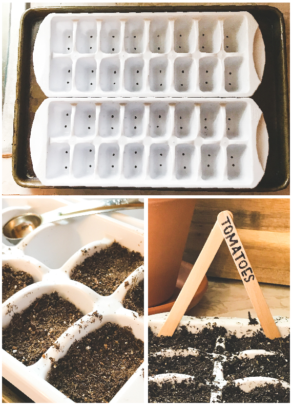 Seeds-002